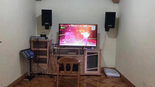 国产ktv音响十大名牌,品质与音质的完美融合